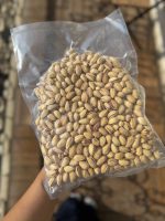 پسته اکبری ممتاز - Image 2