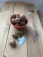 فندق استرالیایی ماکادمیا - Image 2