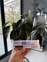 پروتئین بار 31 درصد پروتئین GO ON طعم شیری - Image 2