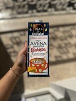 شیر جو دو سر Diet Radisson مدل باریستا