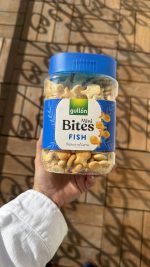 کراکر نمکی ماهی gullon