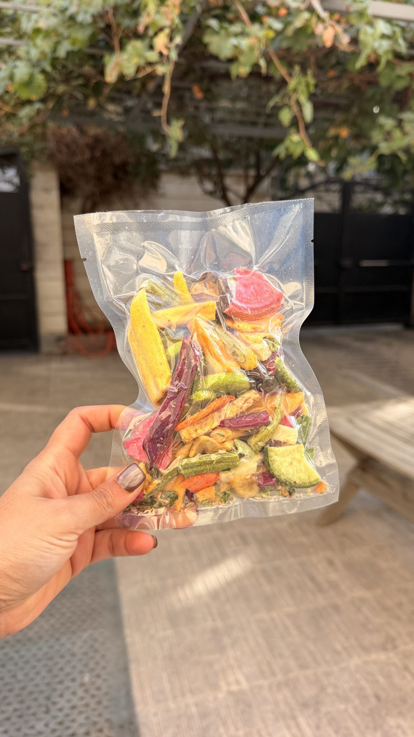 IMG_8772 چیپس سبزیجات - تصویر 1